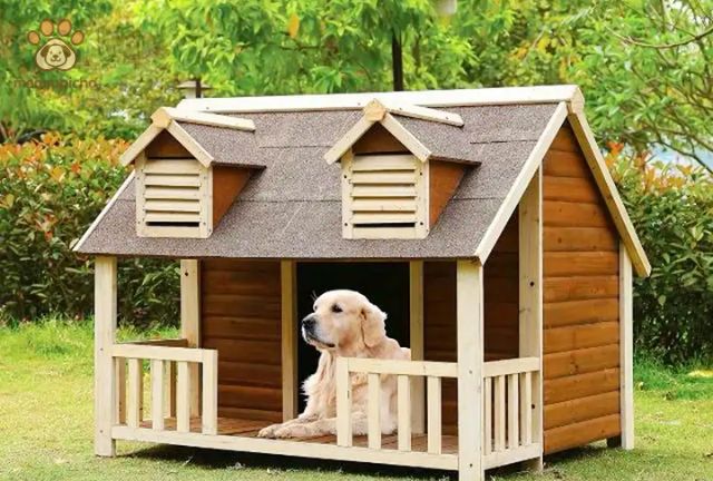 Kinh nghiệm chọn mua nhà cho chó phù hợp