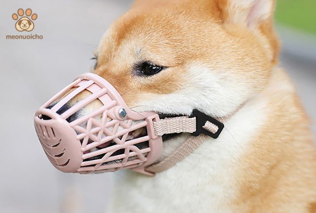 rọ mõm chó
