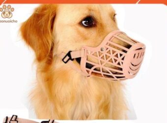 Hướng Dẫn Chọn Rọ Mõm Chó Phù Hợp