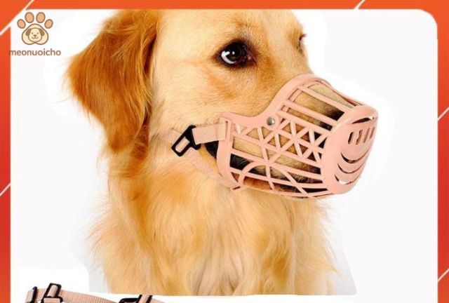 Hướng Dẫn Chọn Rọ Mõm Chó Phù Hợp