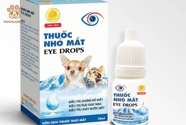 Hướng Dẫn Sử Dụng Thuốc Nhỏ Mắt Cho Chó Đúng Cách